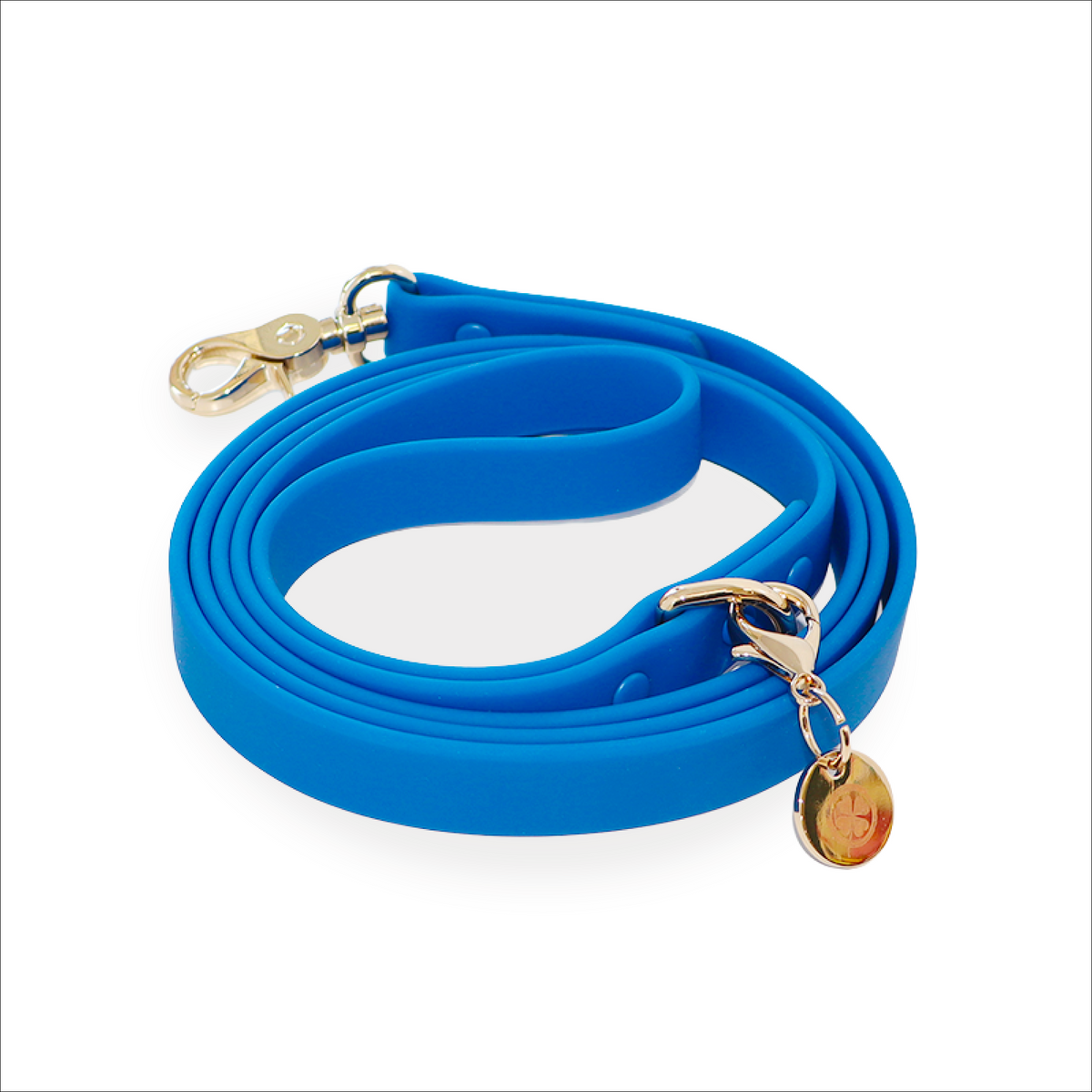 Waterproof Dog Leash Bundle