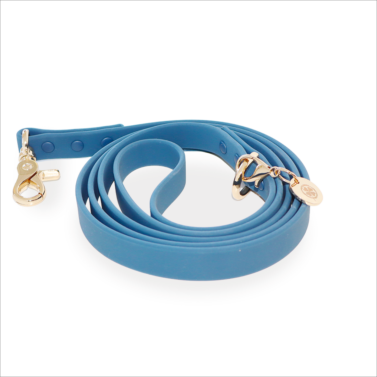 Waterproof Dog Leash Bundle