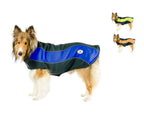 Winter Walk Set, fleece dog coat and 4 boots