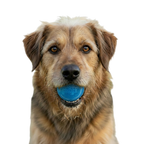 Glitter Ball  Dog Toy | Soft PUP-X Rubber Floating Fetch Ball with Treat Dispenser | USA Made