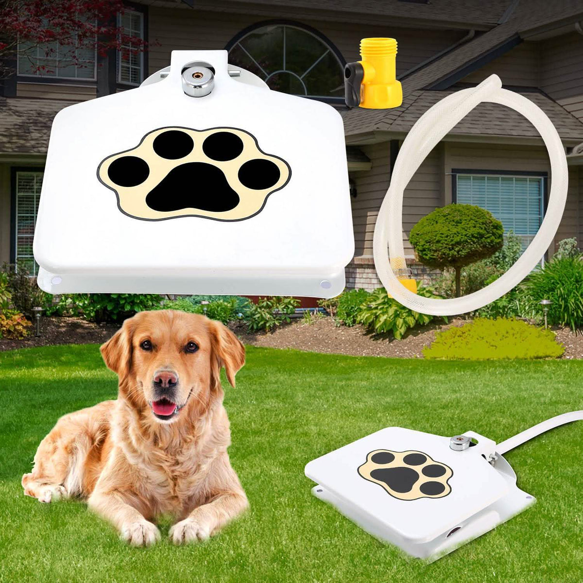 Dog Water Fountain